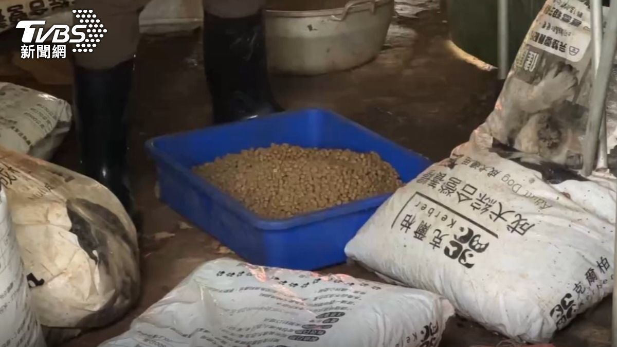 園區內堆滿飼料,狗狗卻無飯可吃。(圖/TVBS)