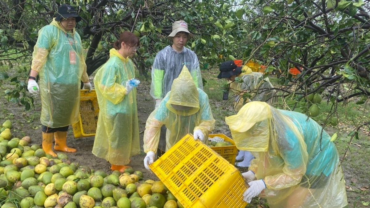 響應國際青年日 教部鼓勵青年投入災後應變重建