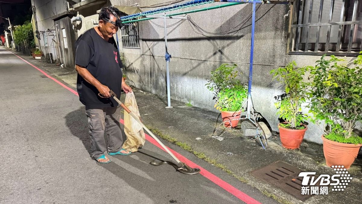里民通報有眼鏡蛇闖入住家。(圖/里長洪富賢提供)