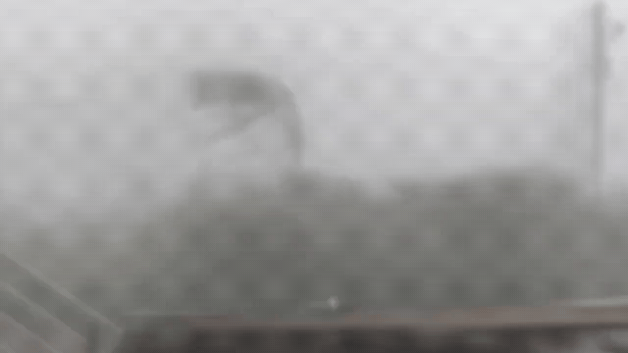 有片/台東首當其衝!中颱楊柳挾狂風暴雨 2759戶停電