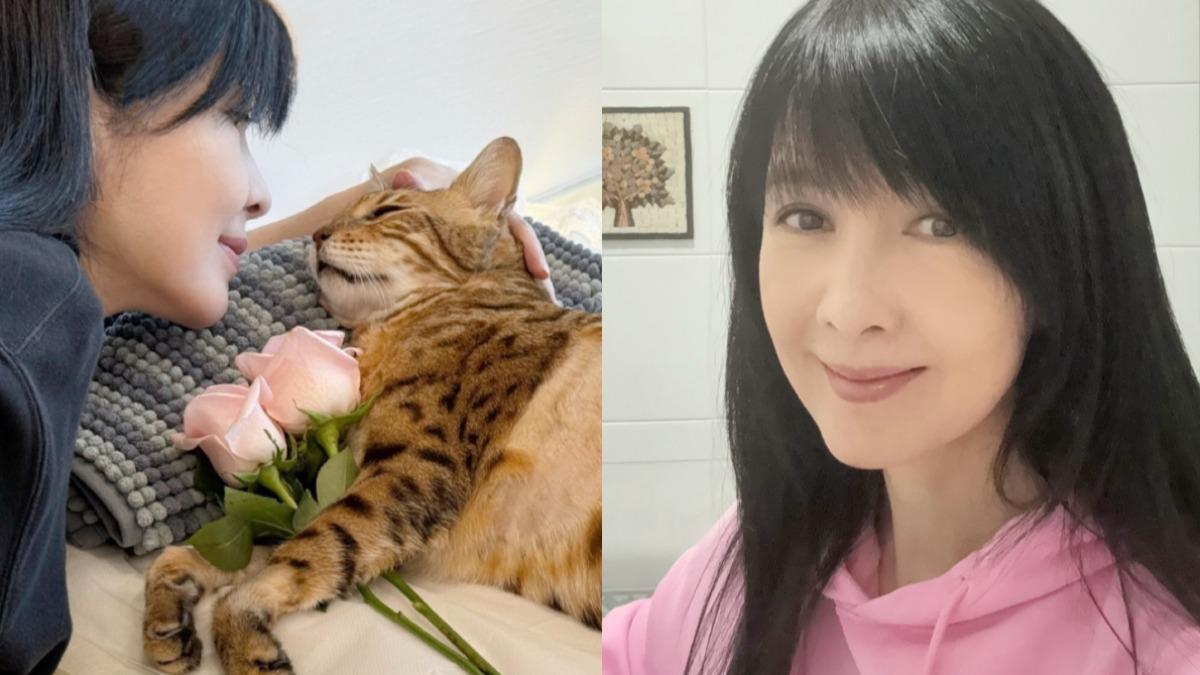 周慧敏痛失愛貓!親手剪髮自拍報平安 吐重振心聲:勇敢去愛