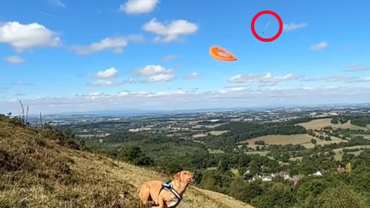 UFO?英男陪愛犬玩飛盤「白色飛行物」神速飛過 8百萬人搶看