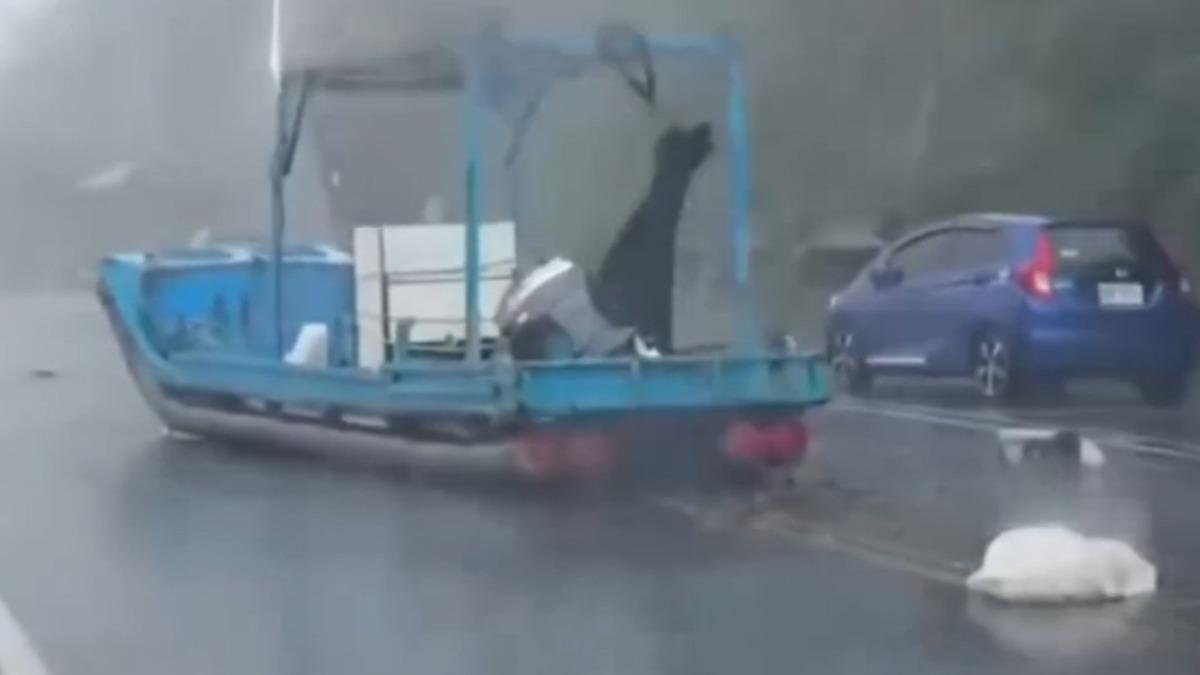 楊柳穿台!台東風雨交加「漁船被吹上馬路」民眾全看傻
