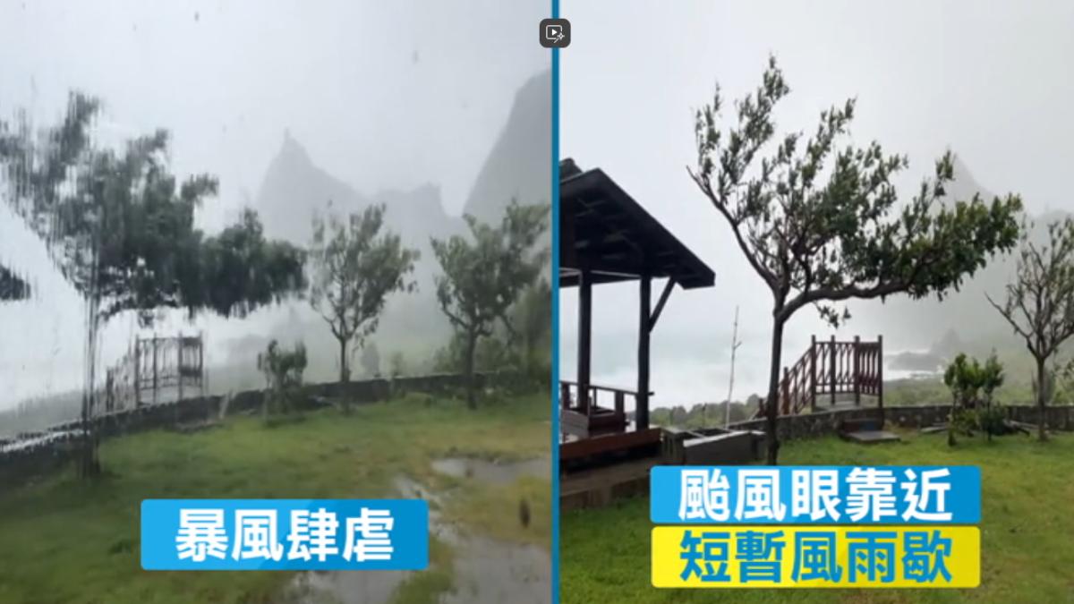 蘭嶼一度被颱風眼包圍,原本呈90度鞠躬狀的樹,恢復正常。(圖/a390506_threads)