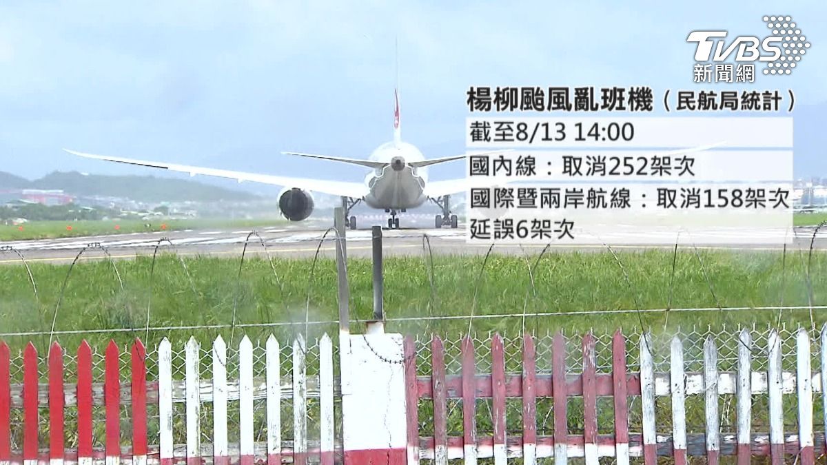 側風狂吹,需抓空檔降落,專家表示風切難掌握。(圖/TVBS)