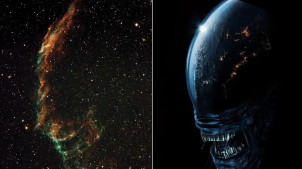 天文攝影家捕捉面紗星雲詭異輪廓! 驚見「異形」現星空