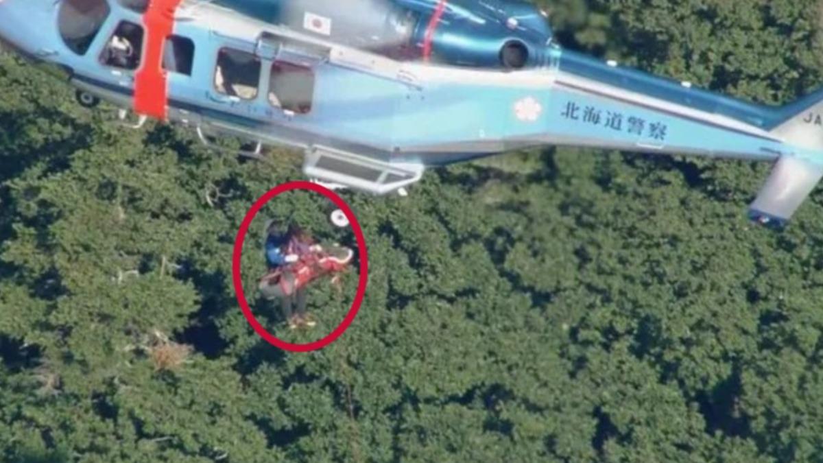 北海道男遭熊襲擊!雙腿爆血被拖入樹林 今尋獲遺體吊掛下山