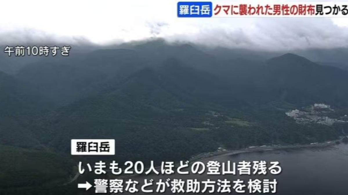北海道-棕熊-熊襲擊人-熊攻擊人-羅臼山