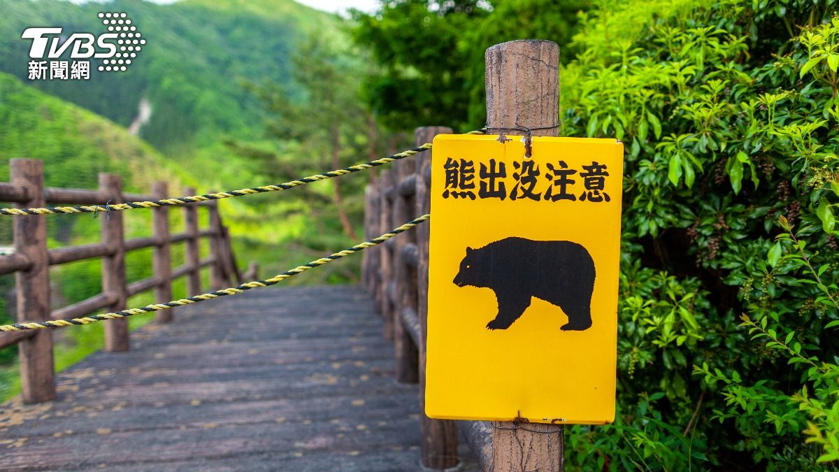 北海道知床半島的羅臼岳14日驚傳棕熊襲擊，一名男登山客被熊咬走後至今仍下落不明。（示意圖片／Shutterstock達志影像）