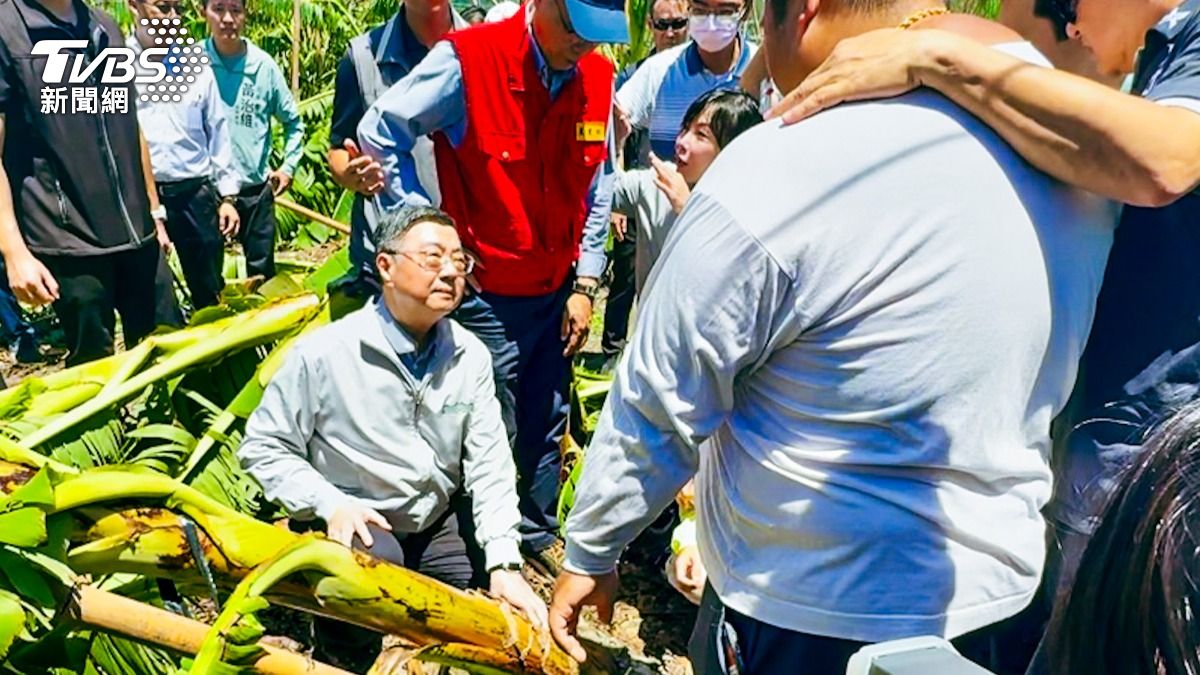 行政院長卓榮泰（右三）來到台東現勘被颱風摧殘的香蕉園。圖/TVBS攝