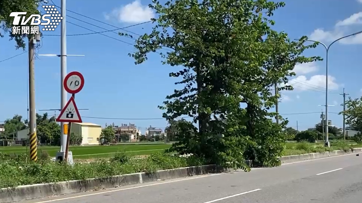 民眾路過看到相當震驚。（圖／民眾提供）