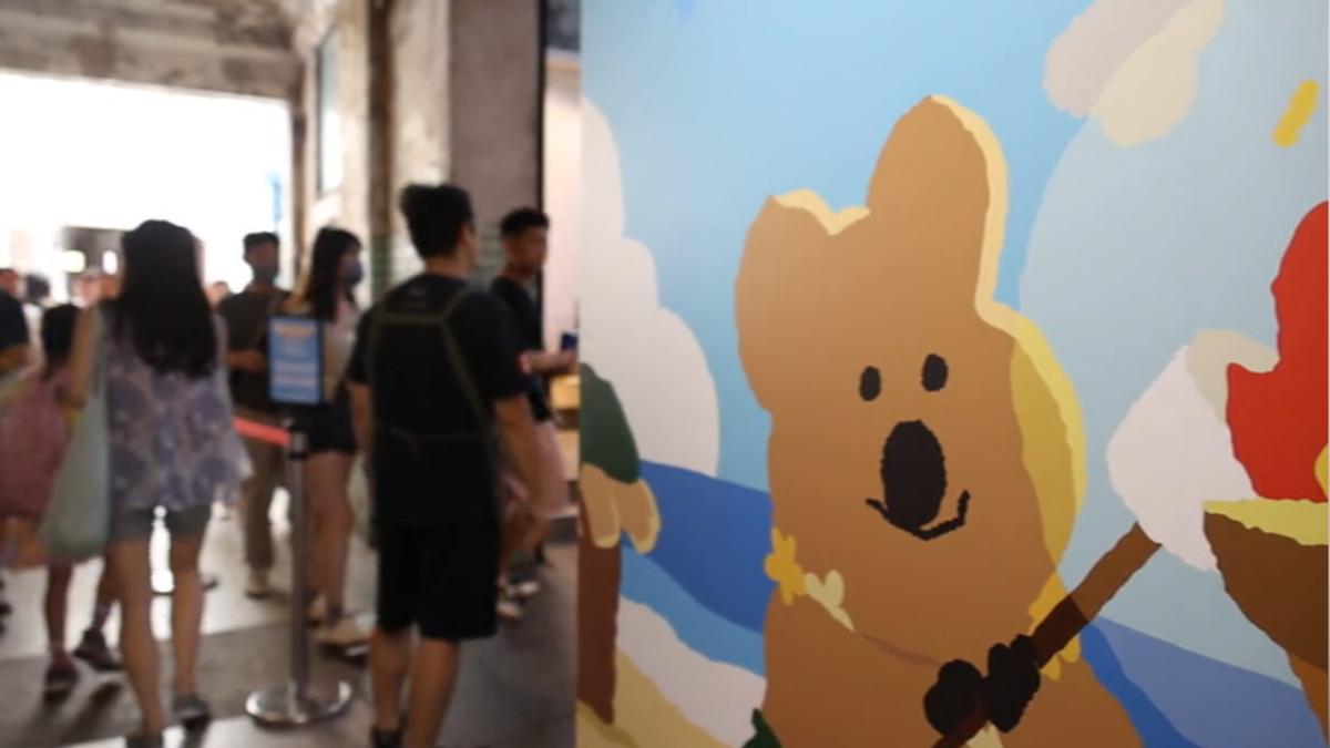 日韓IP多元，吸引民眾目光。（圖／TVBS）