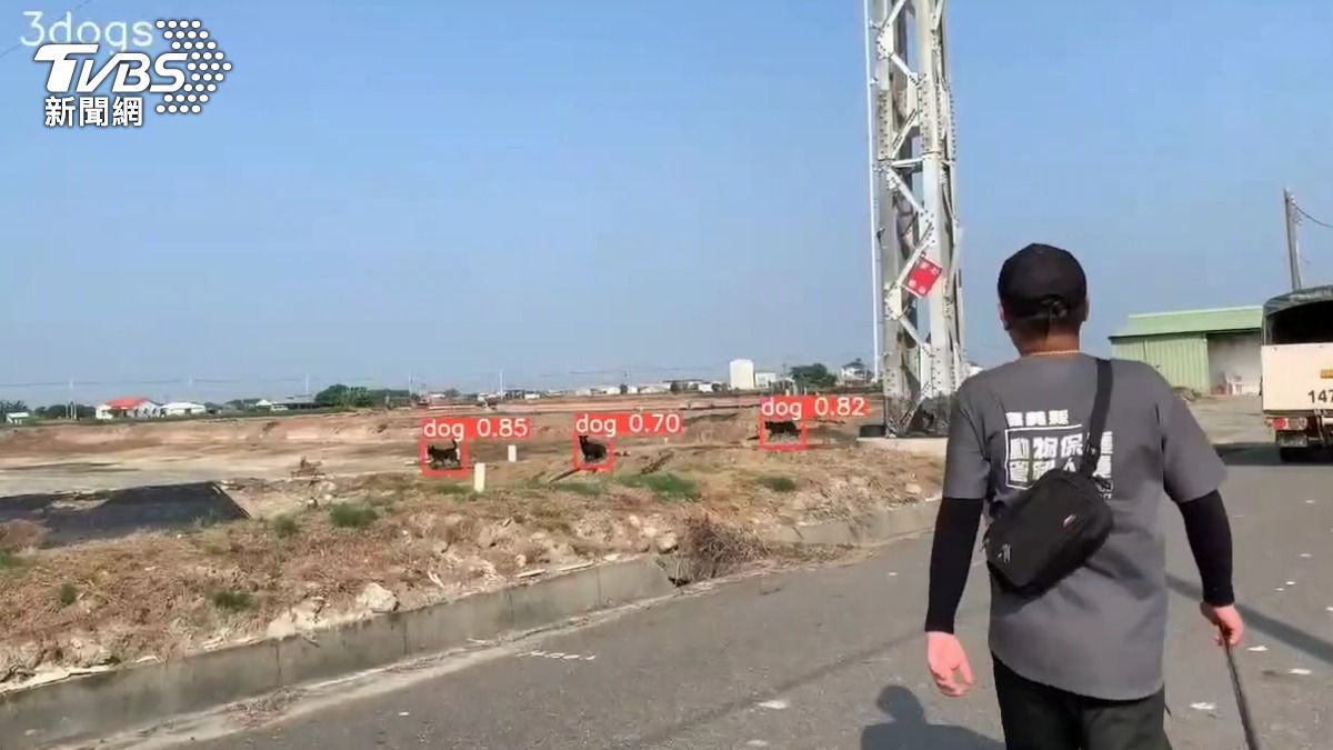 流浪貓狗追車害摔得狀況在嘉義縣義竹鄉也常發生（圖／TVBS）