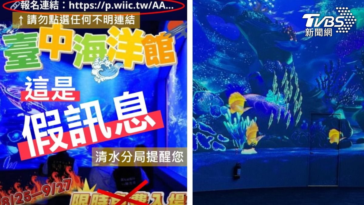 台中海洋館開幕倒數2天 網傳「門票免費」真相曝