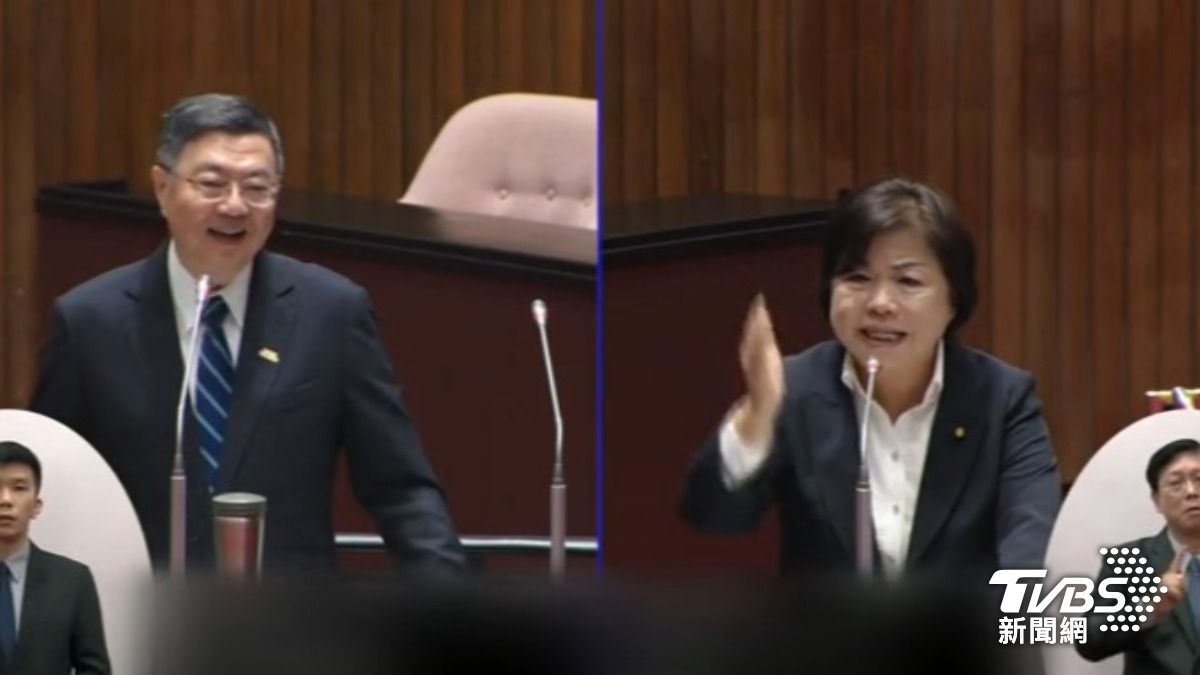楊瓊瓔質詢卓榮泰(圖/TVBS資料畫面)