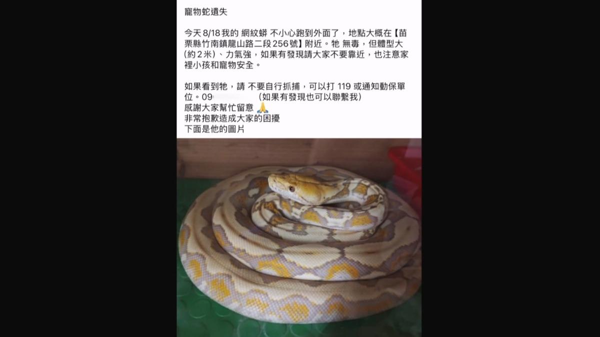 飼主洪先生立即在網路上發文尋求協助。(圖/民眾提供)