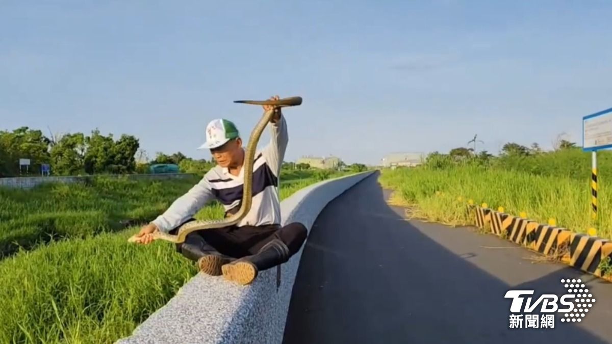 王金樹將大蛇從網中解救出來。（圖／里長王金樹提供）