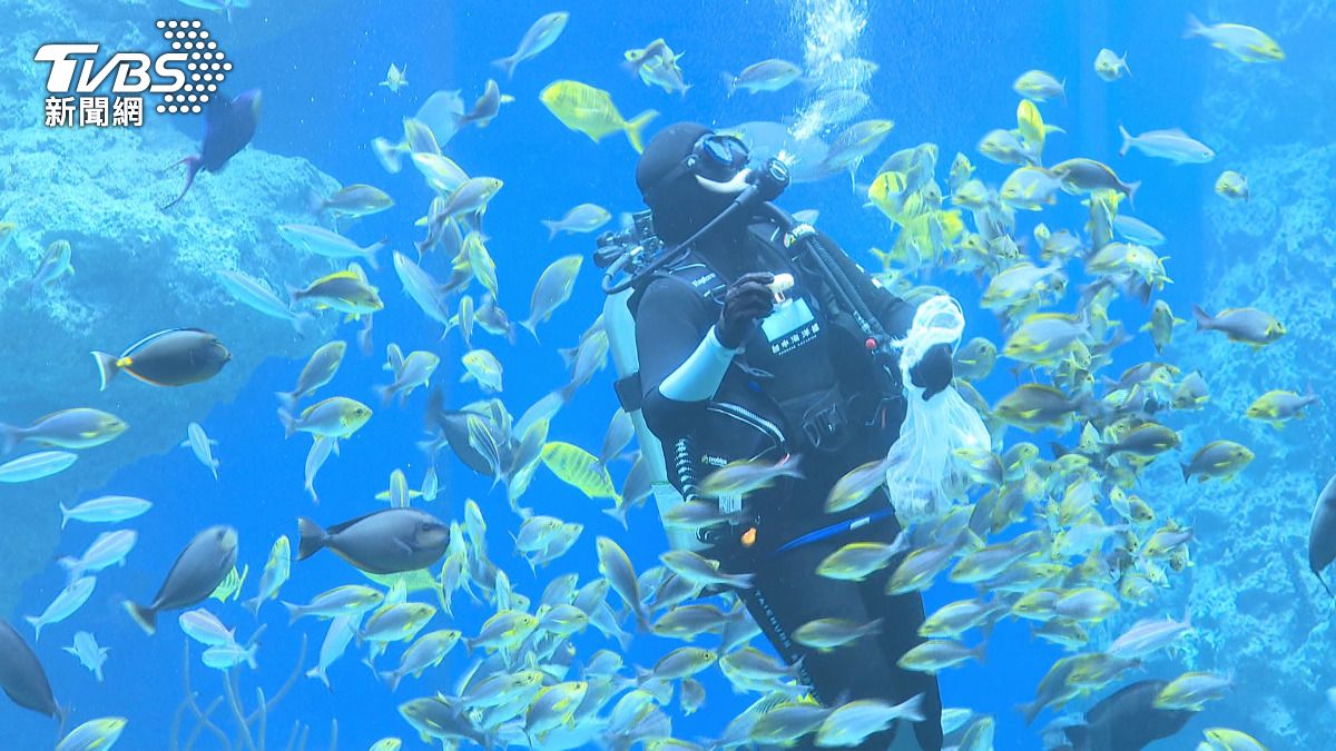 7個展區也都以真實海洋生物為主題,並搭配現代科技元素增強互動性。(圖/TVBS)