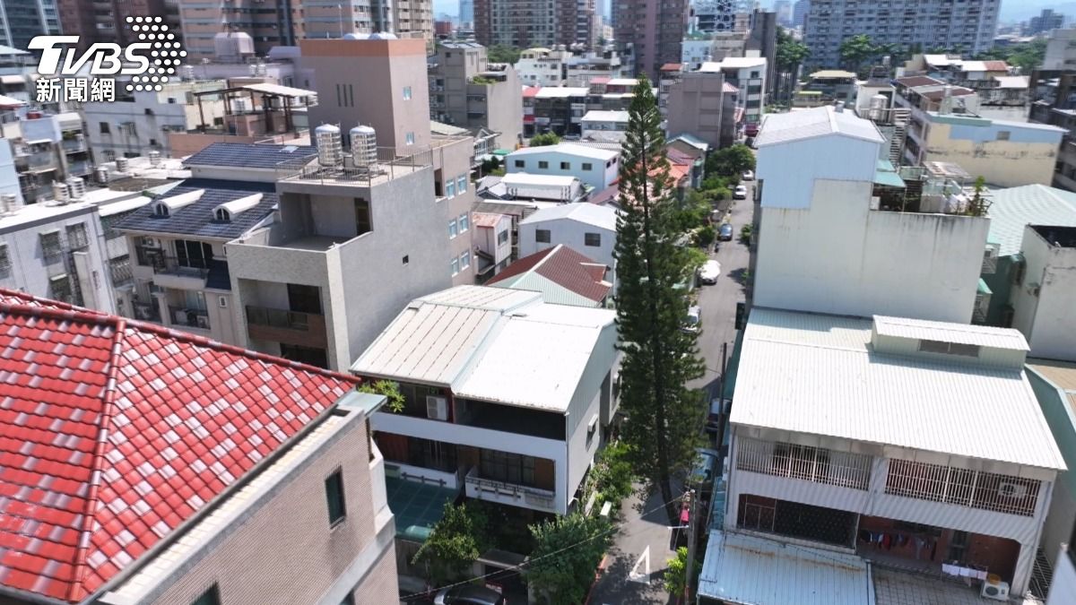吉龍里長李國禎表示，這棵樹是屋主為了送給太太而種植的。(圖／TVBS)