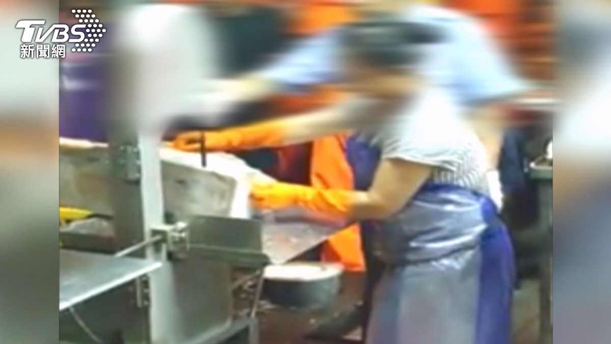 羅姓男子過去曾協助「鮪魚藏毒」走私至日本，魚販協助檢警切割鮪魚。（圖／TVBS）