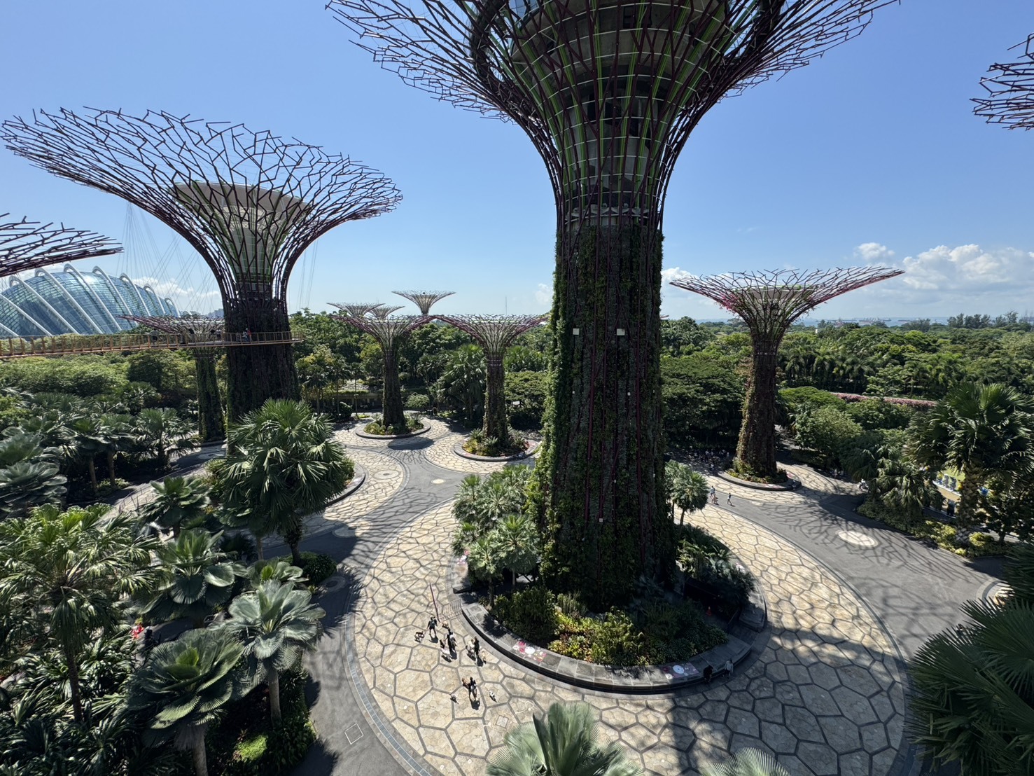 濱海灣花園升級太陽能系統　助新加坡落實永續願景