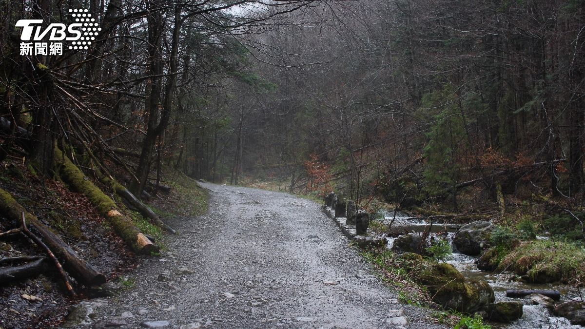 山中下雨撿傘應急！他遭「傘中鬼」跟隨　做1事後竟一路升職