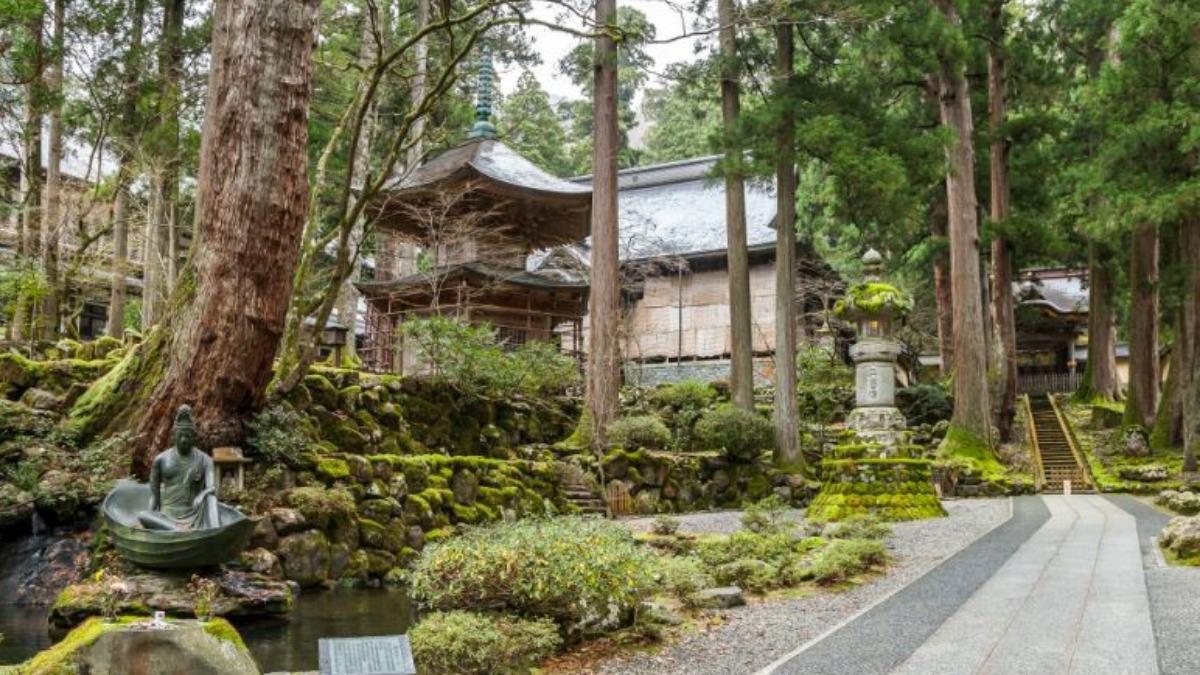 修行不夠?20女高中生到日本古寺合宿 竟遭惡僧伸狼爪摸臀