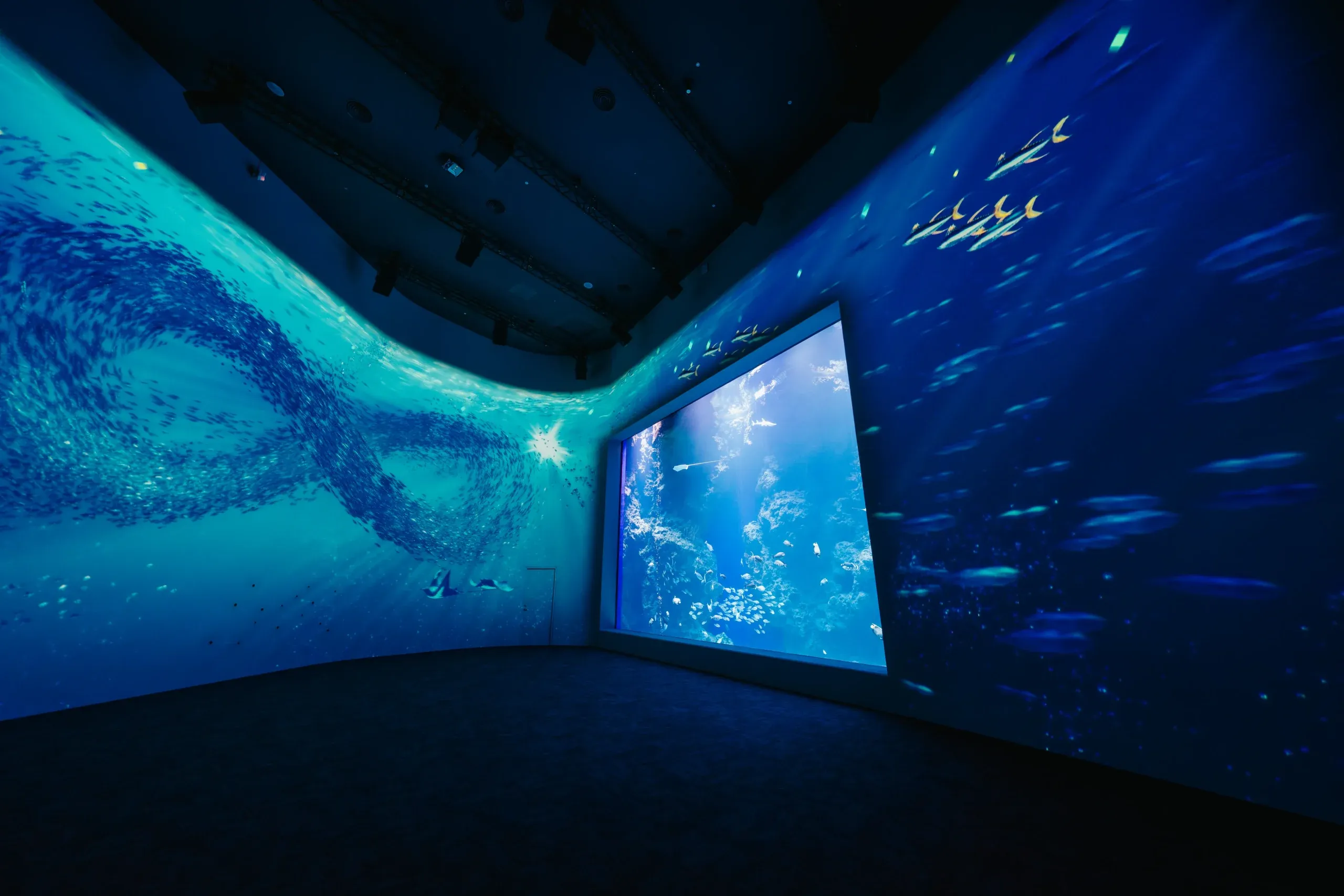 台中海洋館-台中海洋館開幕-台中海洋館地址-台中海洋館門票-台中海洋館評價