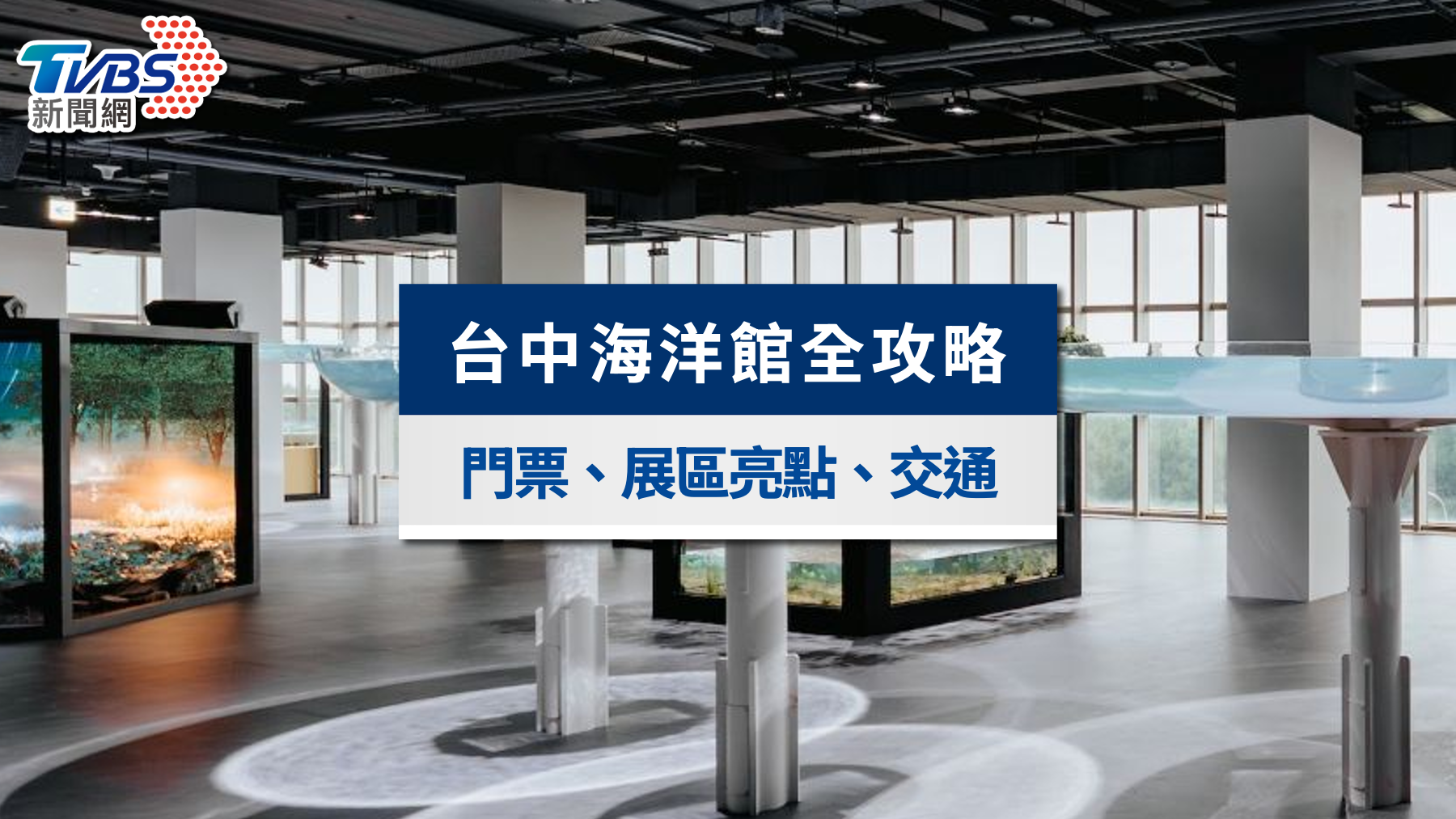 台中海洋館全攻略|門票優惠、6大展區亮點與交通心得一次看