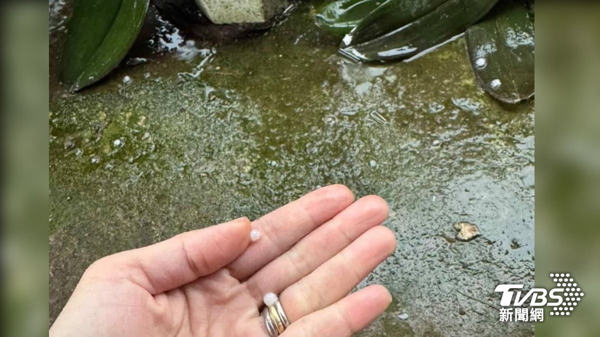 熱對流效應!天降冰雹襲嘉義竹崎 猛砸梨山農園