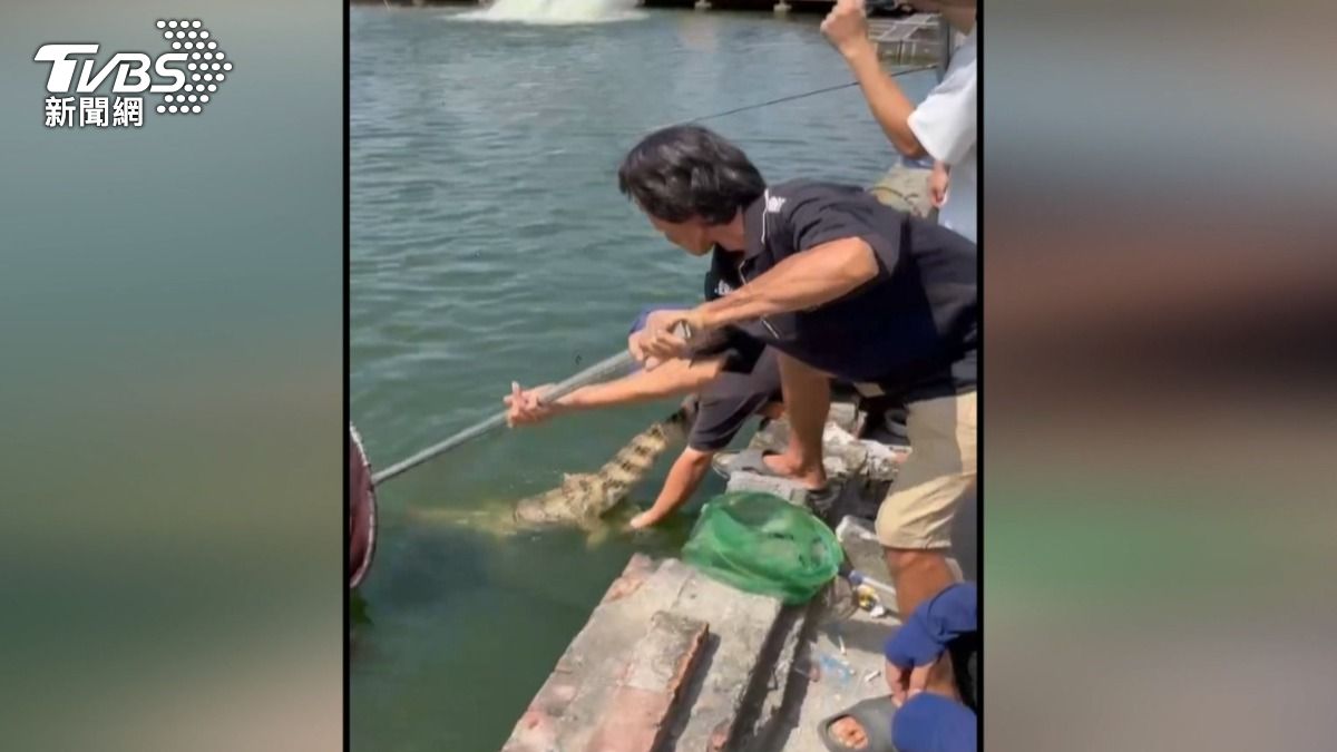 釣魚場老闆6萬購入 釣客嗨翻圓夢了。(圖/TVBS)