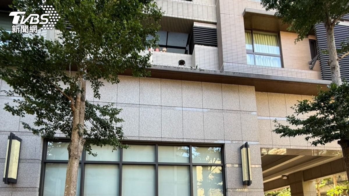 新北男撿盆栽失足墜樓重摔人行道 頭部重創昏迷搶救中