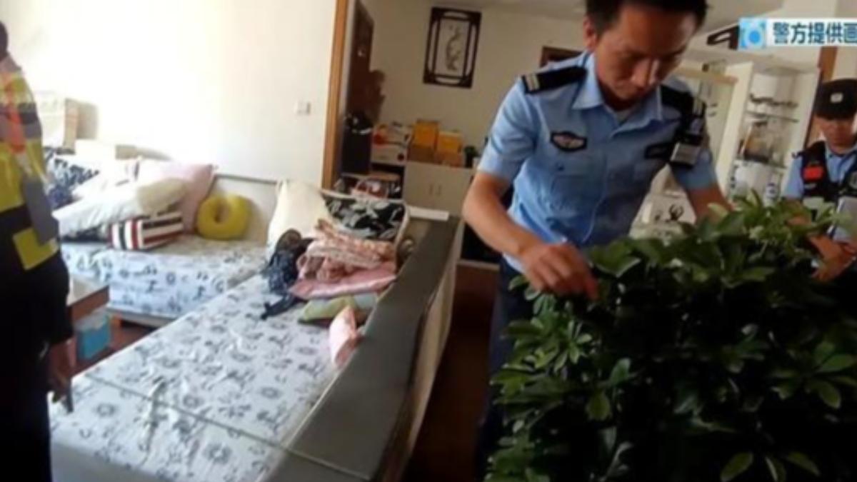 警方初步判斷蛇就是從花盆裡爬出來的。(圖/翻攝魯中晨報)