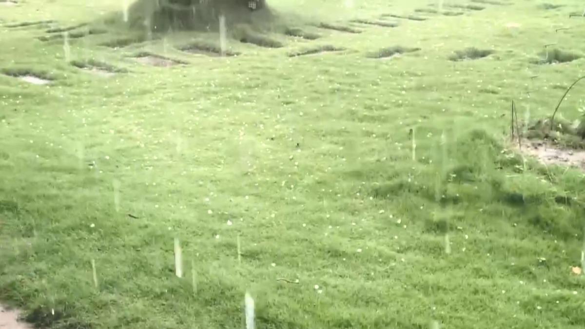 綠油油的草地上突然出現許多白色小點，仔細一看原來是一顆顆的冰雹。（圖／鹿草J古厝民宿提供）