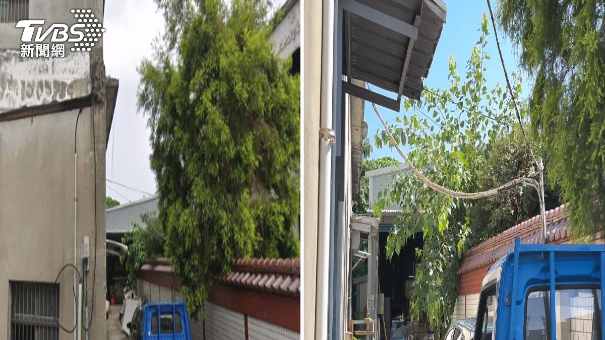 比對左圖去年街景照片，右圖明顯多一個架高的電線。(圖／TVBS)