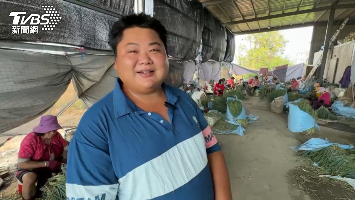 受到颱風影響，菜價不斷飆漲，一名嘉義朴子在地蔥農決定無償回饋里民。（圖／TVBS）