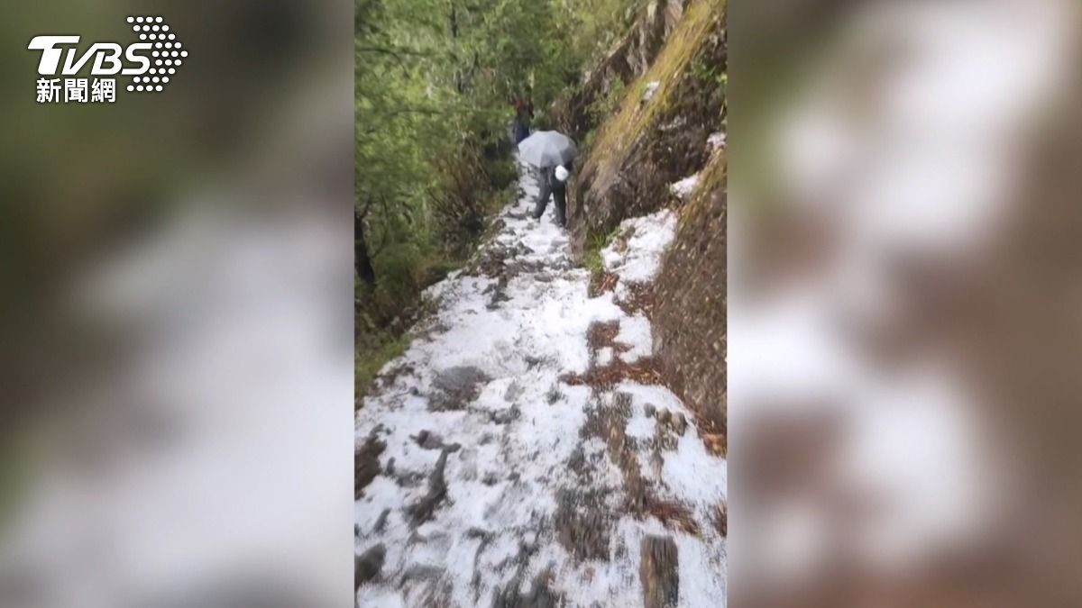 梨山高麗菜慘遭「冰彈轟炸」!玉山登山路白花花,屏東豔陽秒下冰雹。(圖/翻攝threads)