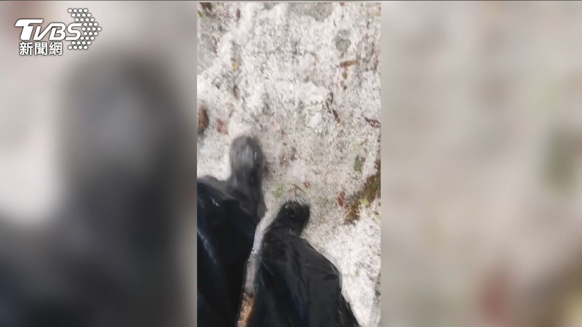 玉山路徑被冰粒覆蓋成一片白色。(圖/翻攝threads)