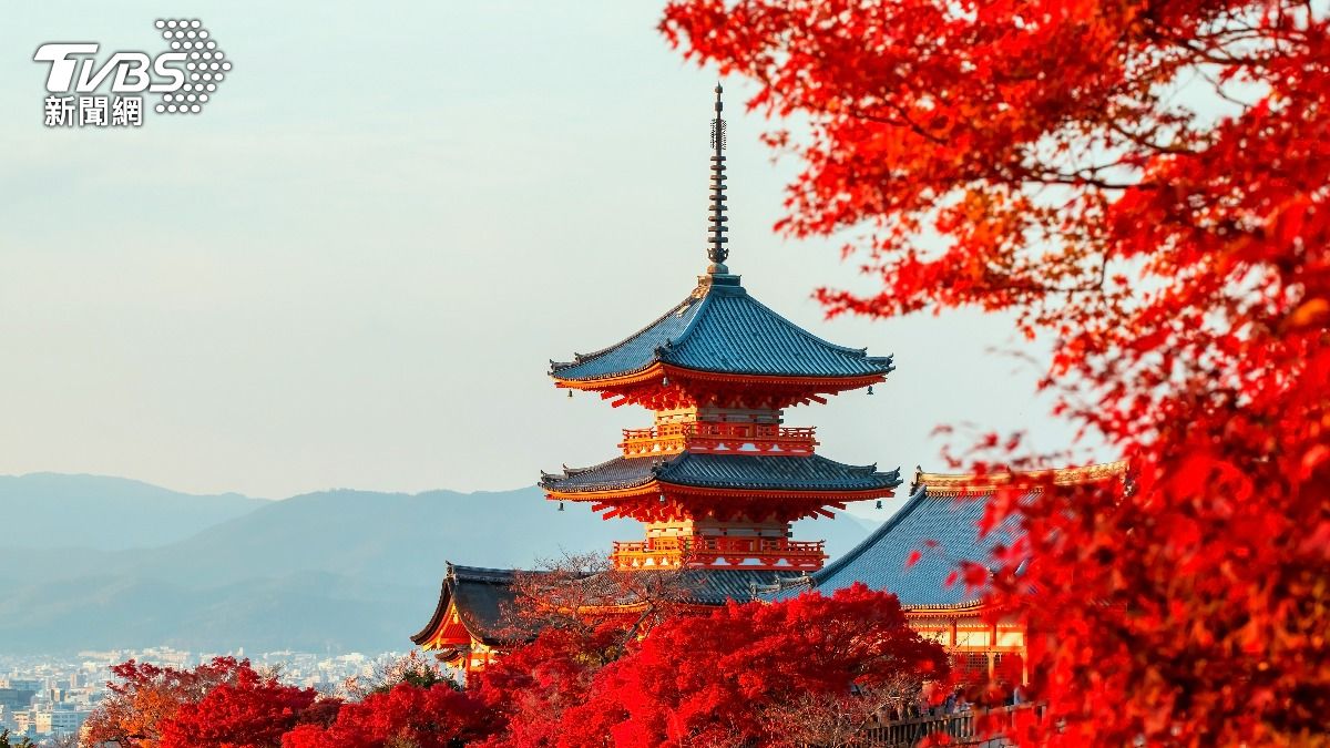 赴日賞楓注意!日本夏季高溫屢創新高 楓葉轉色時間恐延後