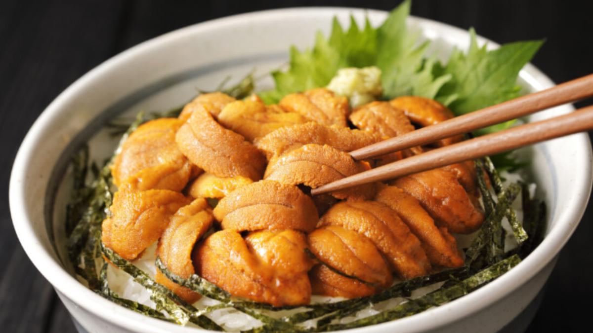 漲兩倍價!海水暖化漁獲量驟減 日本海膽蓋飯一碗近四千台幣