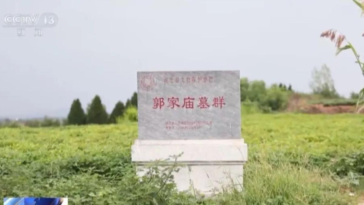 湖北省棗陽市的郭家廟墓群。(圖/翻攝CCTV)