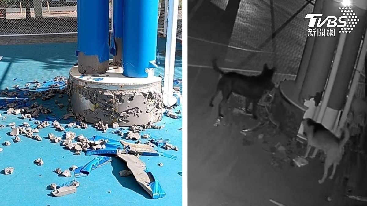 雲林2500萬打造球場!防護墊遭撕爛 市長揪出「超派兇手」