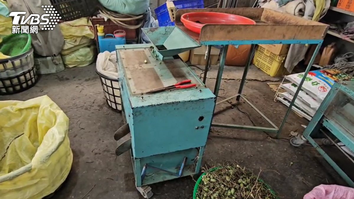 家長帶小孩進入工作場所，得多注意他的一舉一動，免得意外發生（圖／TVBS）