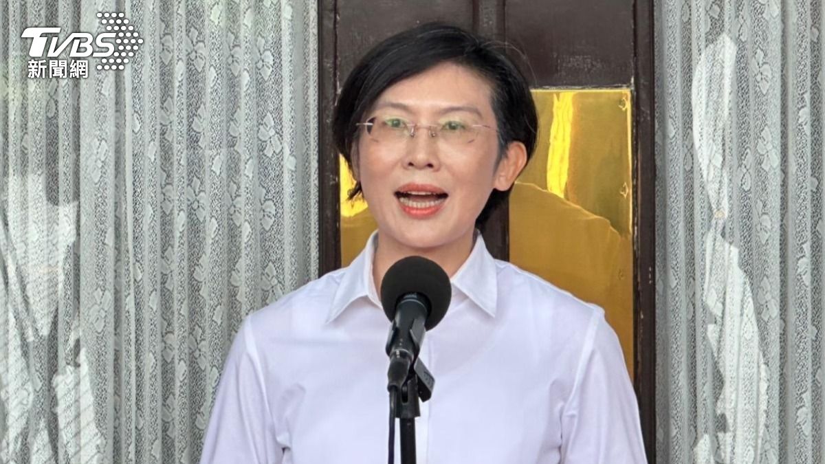 民進黨立委林岱樺。（圖／TVBS資料畫面）
