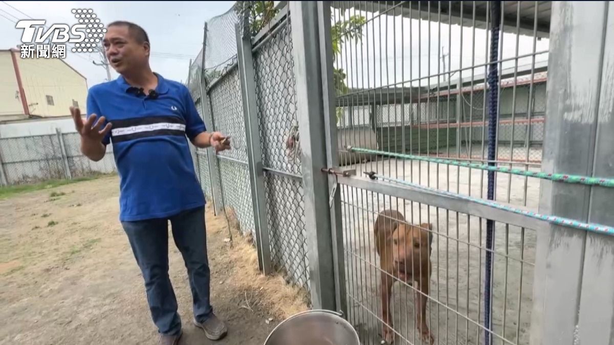 比特犬Lucky找到新家!新主人花40萬強化安全。(圖/TVBS)