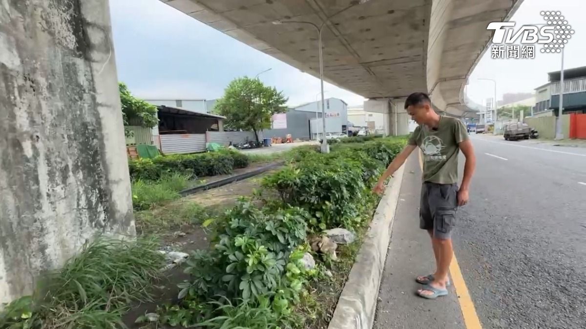 里長向交通局,工務局反應光明路的車禍路口後,先調整號誌的秒差,不過5個月過去,沒人再來會勘,究竟還有沒有其他改善。(圖/TVBS)