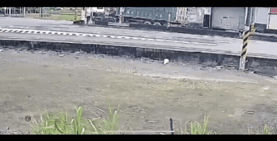 屏東新園發生死亡車禍。(圖/TVBS)
