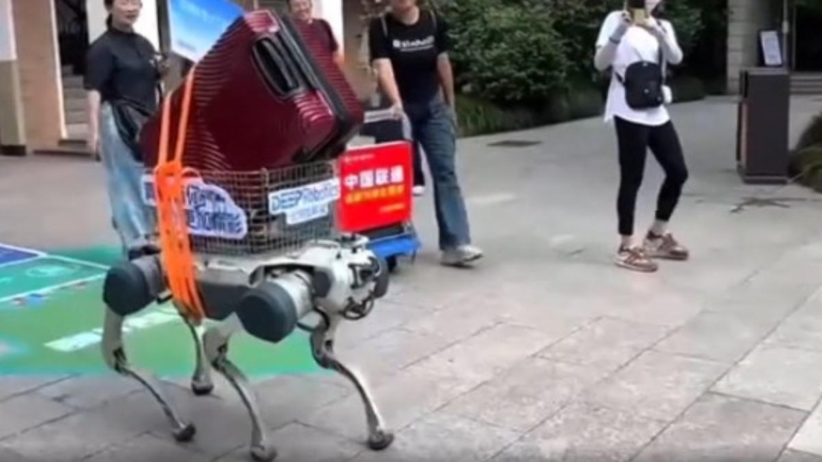 機器狗變身浙江大學接待新生的小幫手，直接背起20公斤重的行李箱。 （圖／中新社）