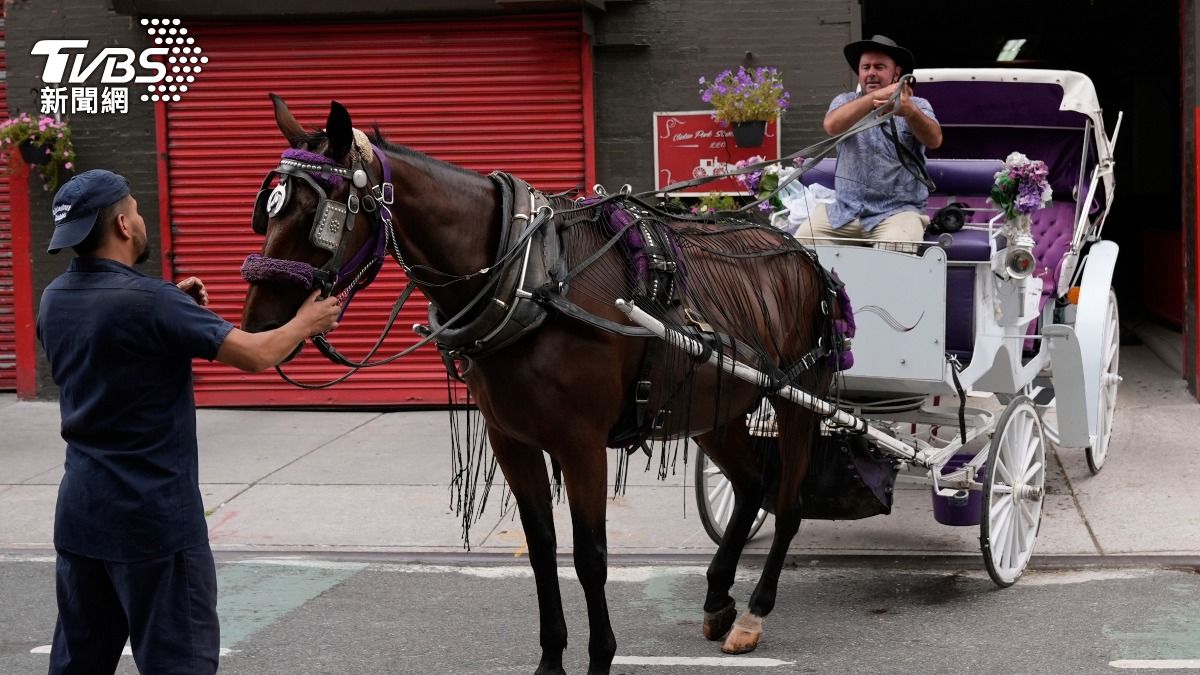 紐約曼哈頓有150年歷史的觀光馬車,近年來因動物權益和公共安全風險等問題面臨爭議。(圖/達志影像美聯社)
