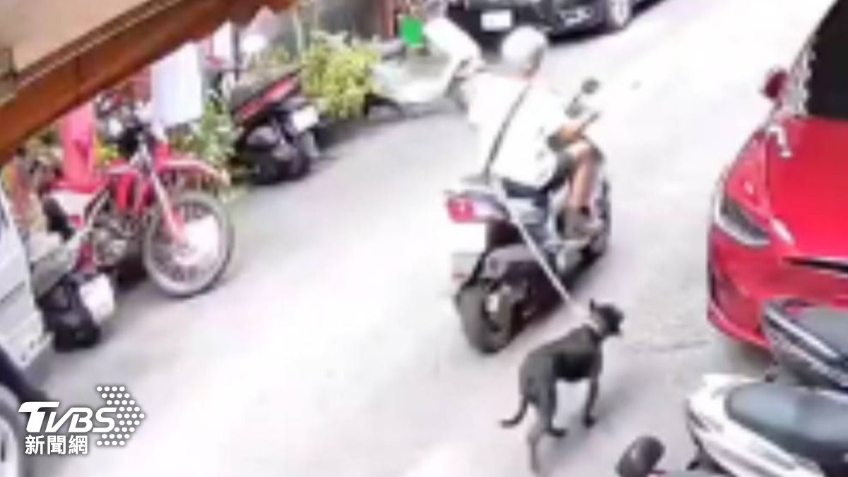 八旬翁騎車遛狗釀悲劇,黑狗被拖行300米血流滿地亡。(圖/TVBS)